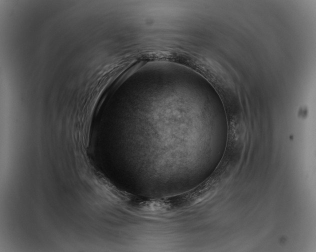 X0000098100223200804041251