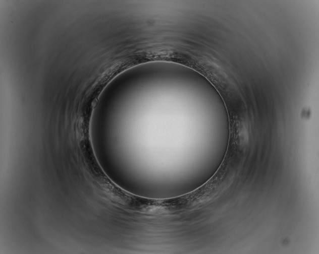 X0000098100224200804041251