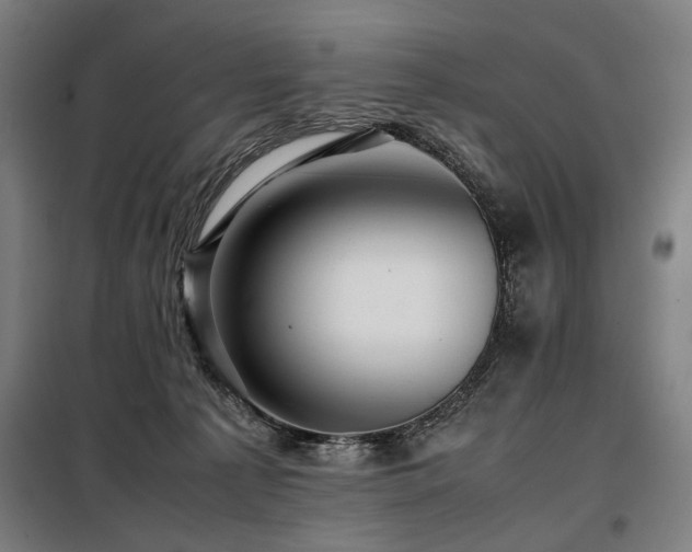 X0000098100225200804041251