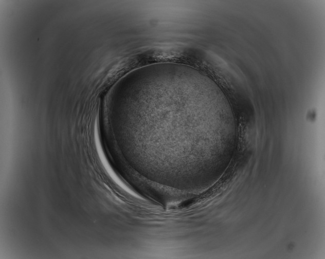 X0000098100227200804041251