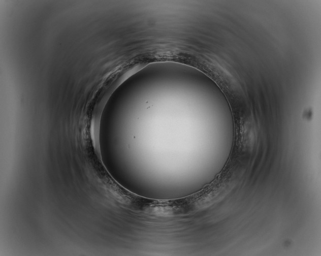 X0000098100228200804041251