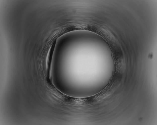 X0000098100229200804041251