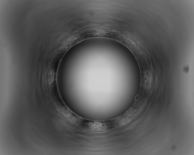 X0000098100230200804041251