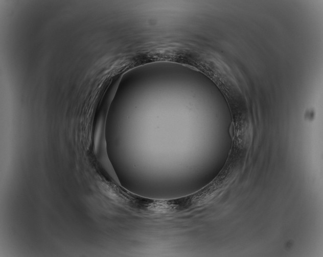 X0000098100231200804041251