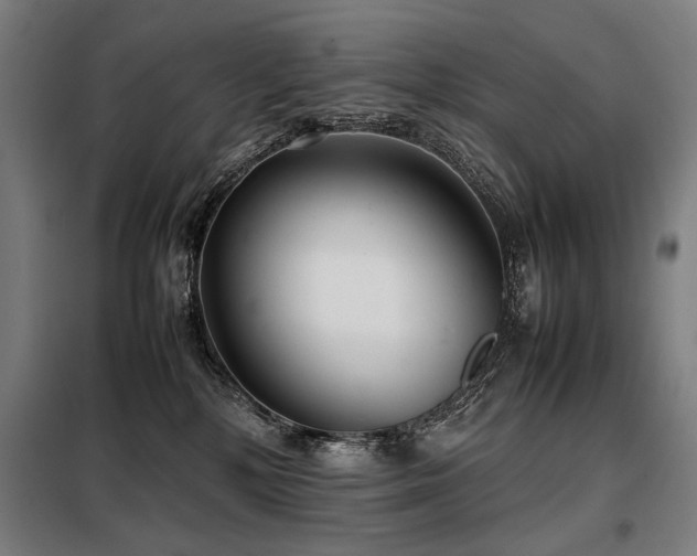 X0000098100232200804041251