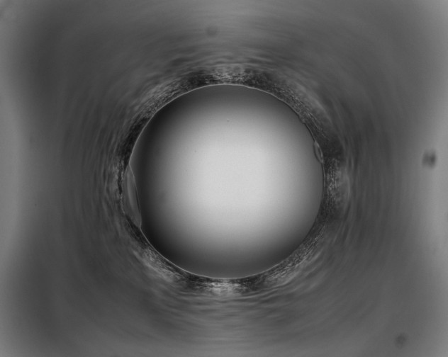 X0000098100233200804041251