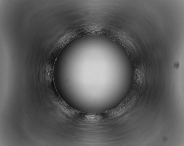 X0000098100234200804041251