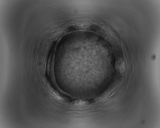 X0000098100235200804041251