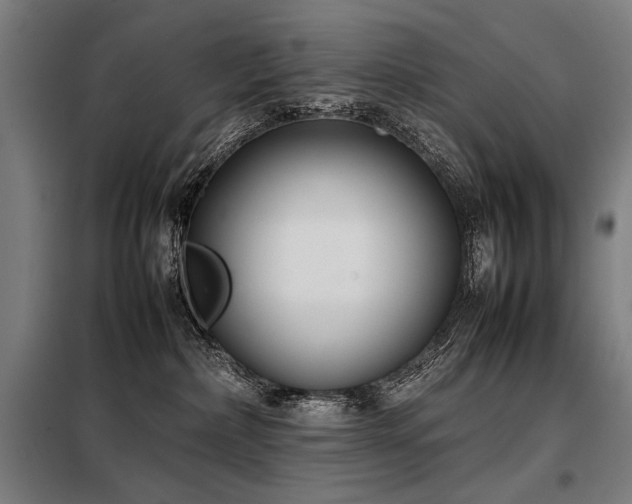 X0000098100236200804041251