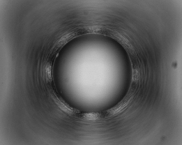 X0000098100238200804041251