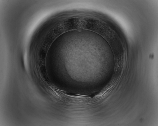 X0000098100239200804041251