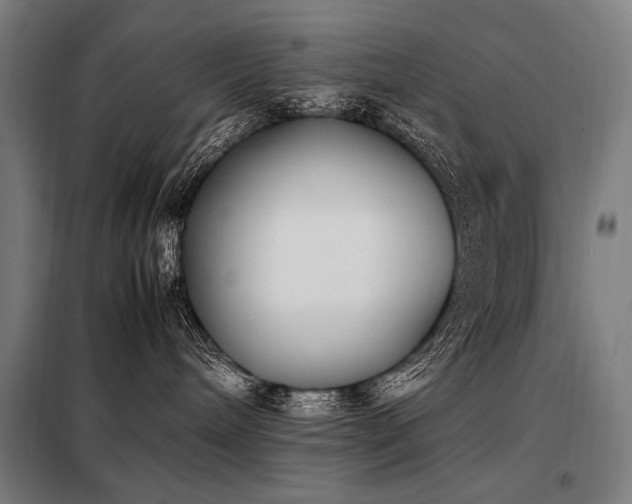 X0000098100240200804041251
