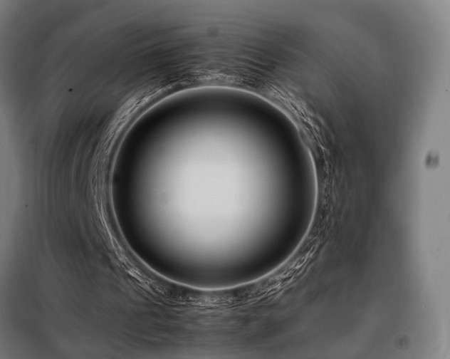 X0000098100241200804041250