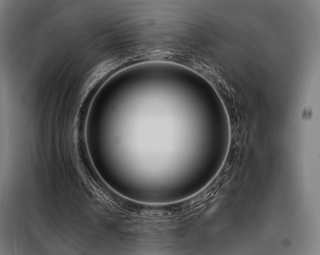 X0000098100242200804041250