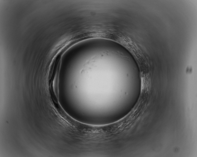 X0000098100243200804041250
