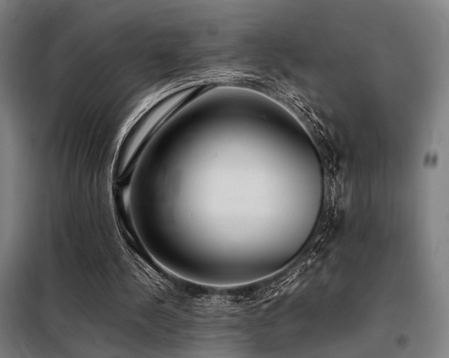 X0000098100244200804041250