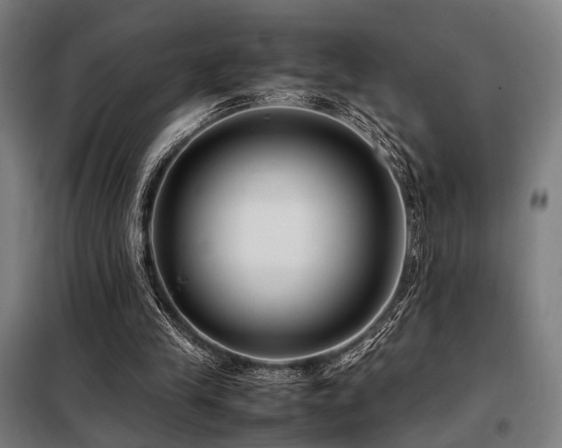 X0000098100245200804041250