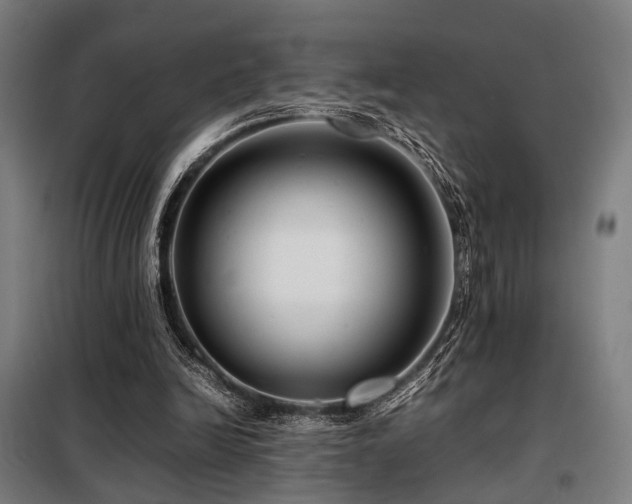 X0000098100246200804041250