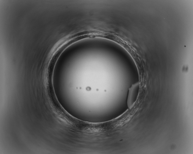 X0000098100247200804041250