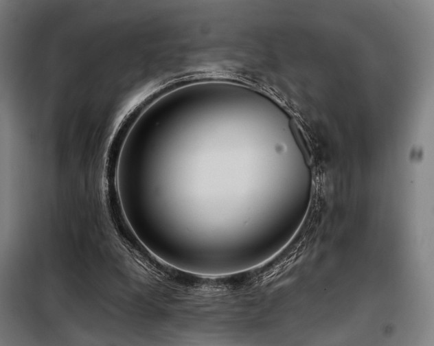 X0000098100248200804041250