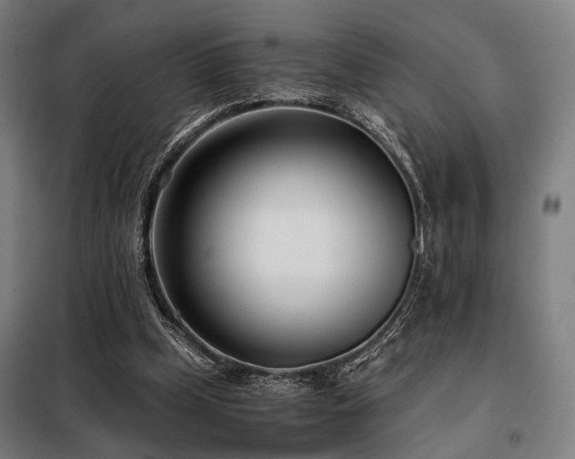 X0000098100249200804041250