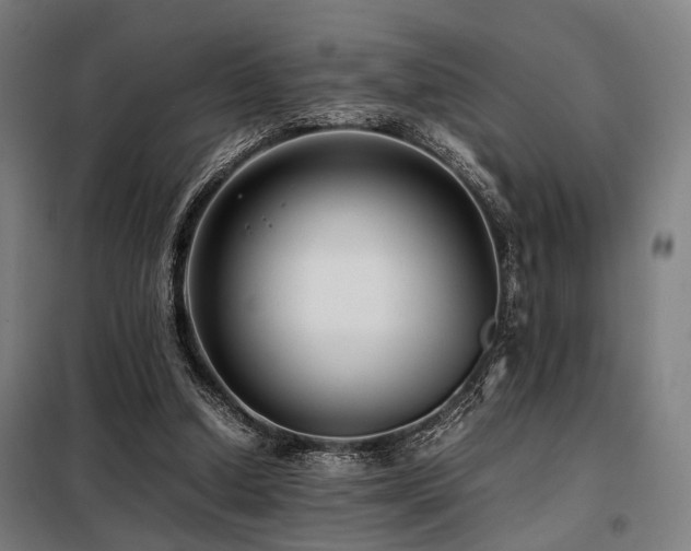 X0000098100250200804041250