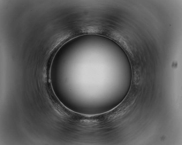 X0000098100251200804041250