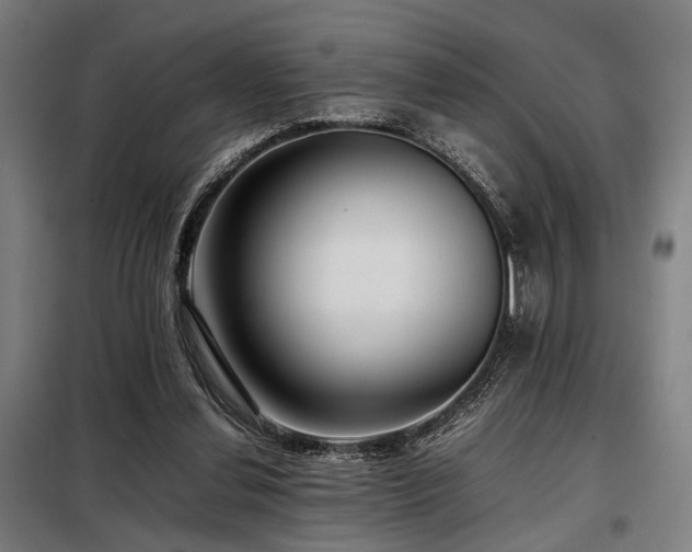 X0000098100252200804041250