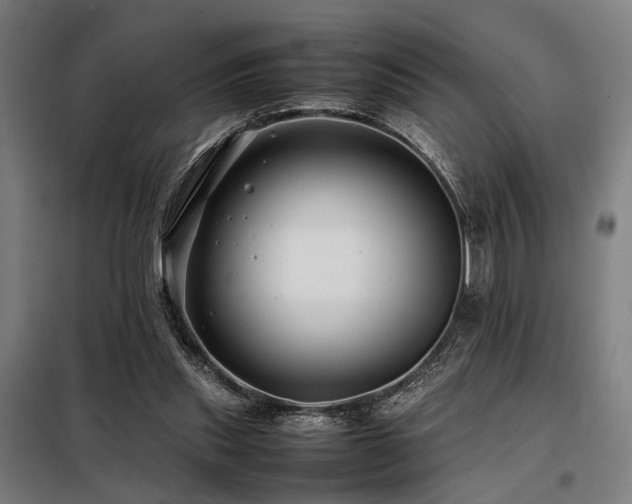 X0000098100253200804041250