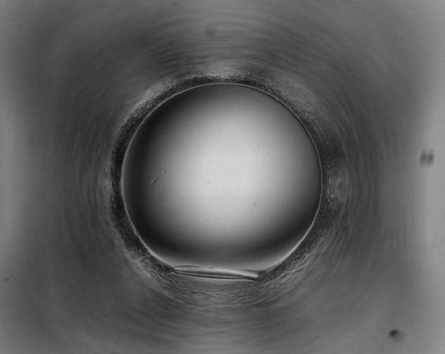 X0000098100256200804041250