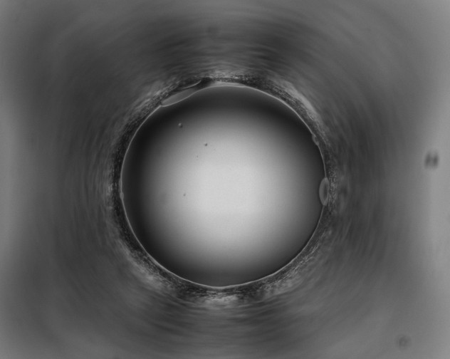 X0000098100257200804041250