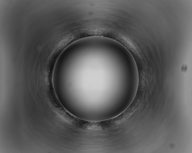 X0000098100258200804041250