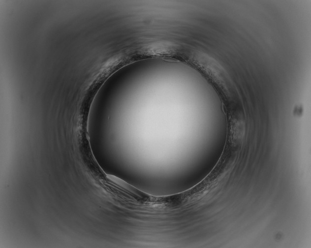 X0000098100260200804041251