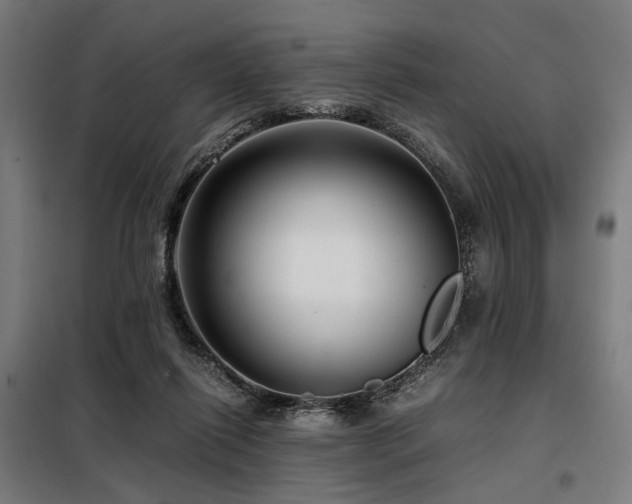 X0000098100262200804041251