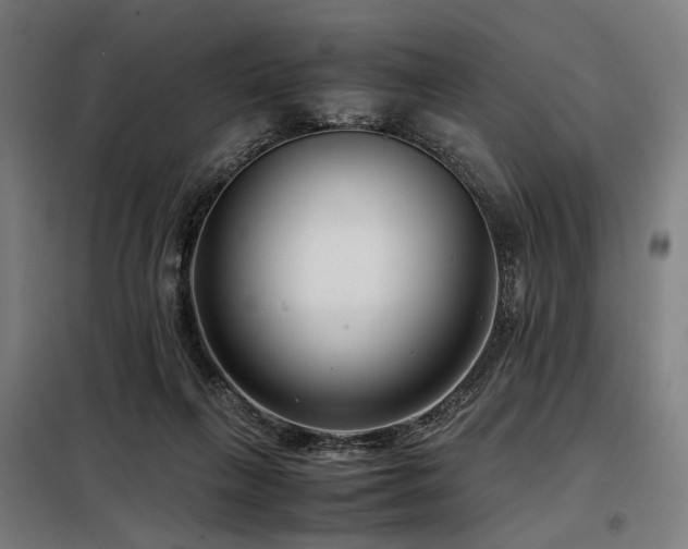 X0000098100263200804041251