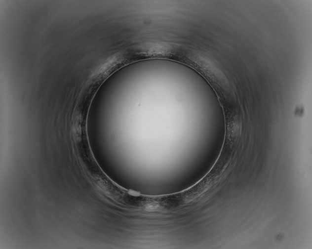 X0000098100264200804041251