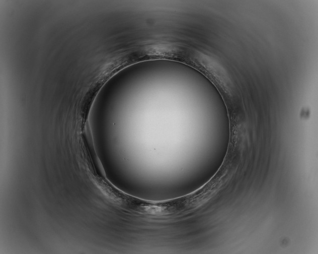 X0000098100265200804041251