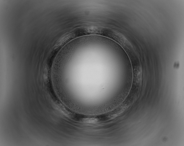 X0000098100266200804041251