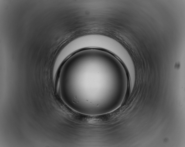 X0000098100268200804041251