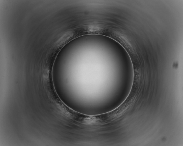 X0000098100269200804041251