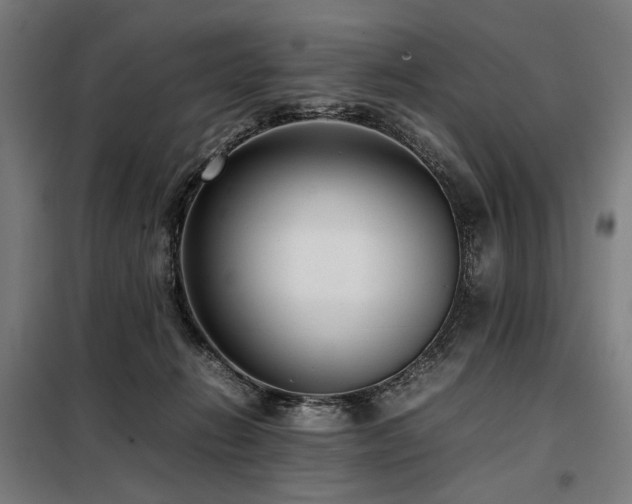 X0000098100270200804041251