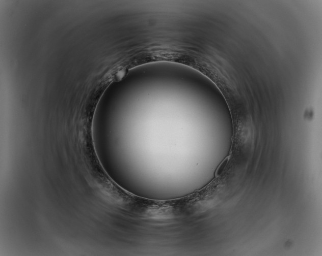 X0000098100271200804041251