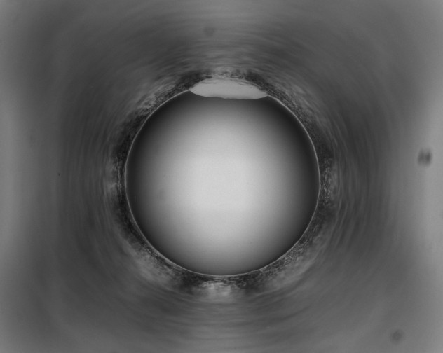 X0000098100272200804041251