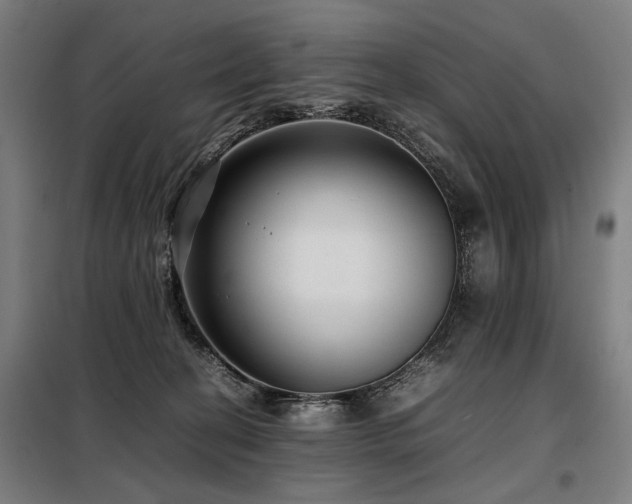 X0000098100274200804041251