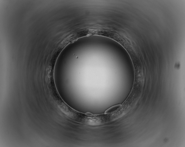 X0000098100275200804041251