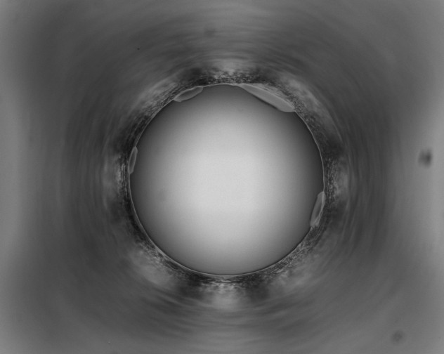 X0000098100276200804041251