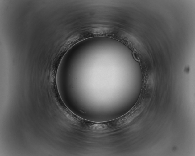 X0000098100277200804041251