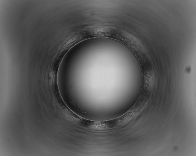 X0000098100278200804041251