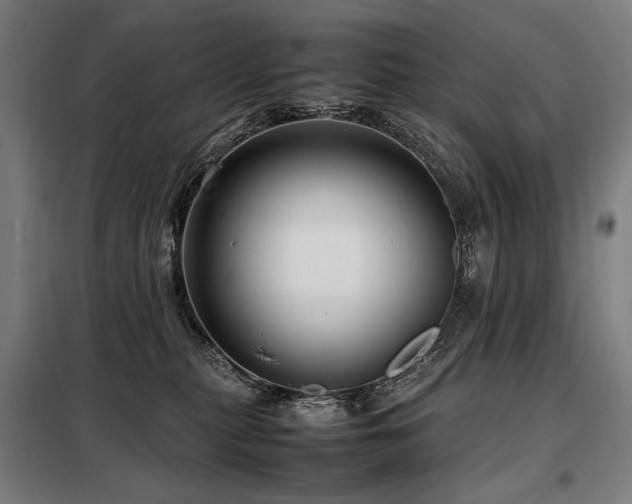 X0000098100279200804041251