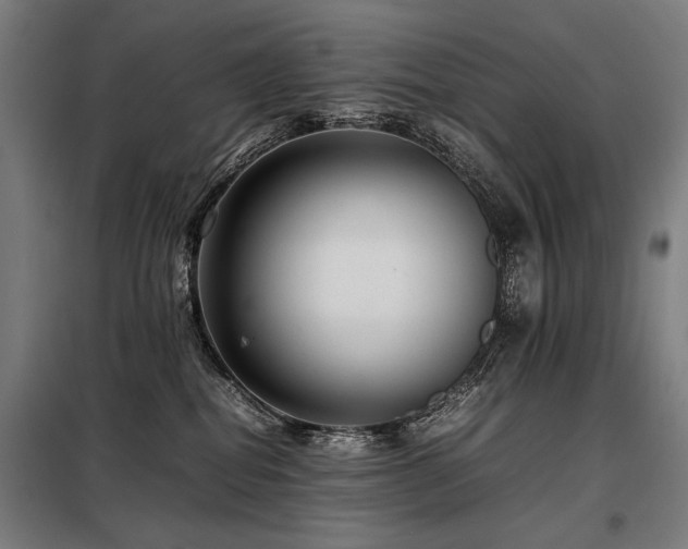X0000098100282200804041251
